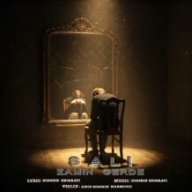 آهنگ جدید سالی به نام زمين گرده